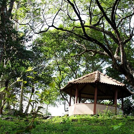 Rajanawa Resort Ratnapura Exterior foto